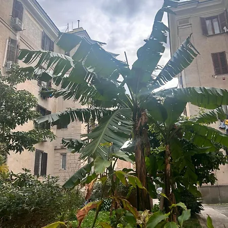 La Casa Di Testaccio * Roma